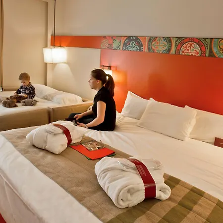 Mercure Cathedrale אמיינס